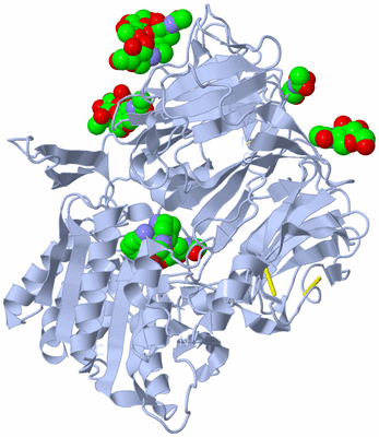 Image Biological Unit 3