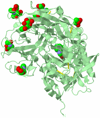 Image Biological Unit 4