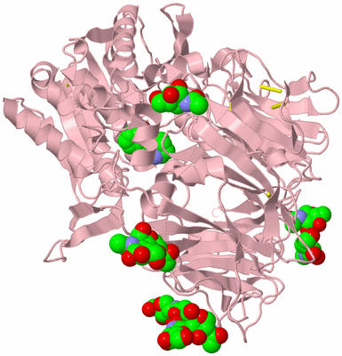 Image Biological Unit 5