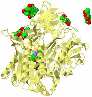 Image Biological Unit 6