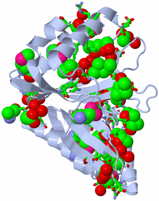 Image Biol. Unit 1 - sites