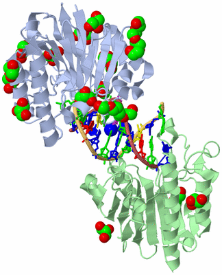 Image Asym./Biol. Unit