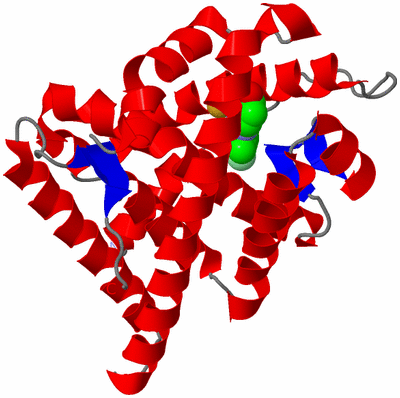 Image Asym./Biol. Unit