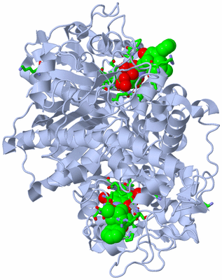 Image Biol. Unit 1 - sites