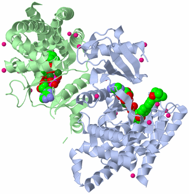 Image Asym./Biol. Unit