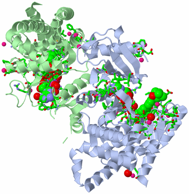 Image Asym./Biol. Unit - sites