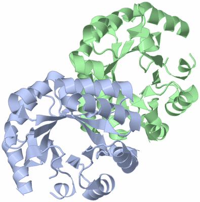 Image Asym./Biol. Unit