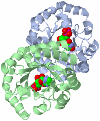 Image Asym./Biol. Unit