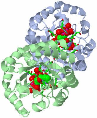 Image Asym./Biol. Unit - sites