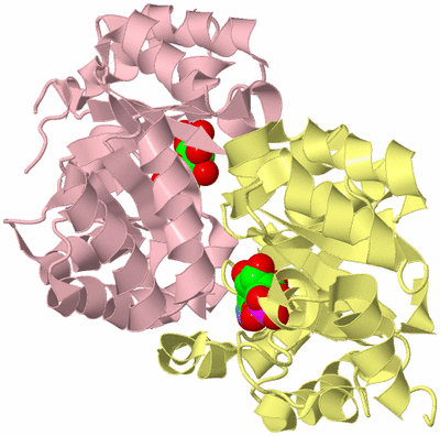 Image Biological Unit 2