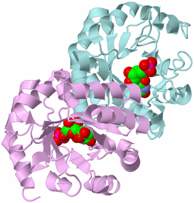 Image Biological Unit 3