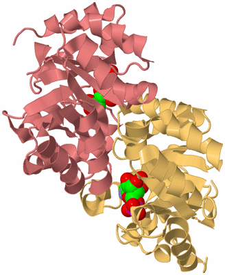 Image Biological Unit 4