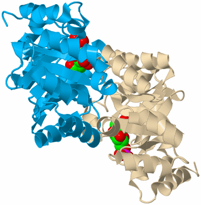 Image Biological Unit 5