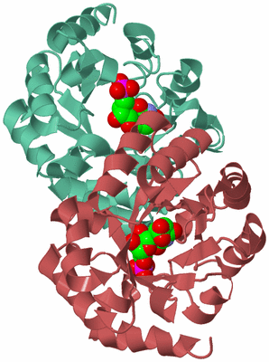 Image Biological Unit 6