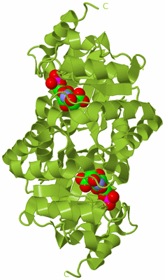 Image Biological Unit 7