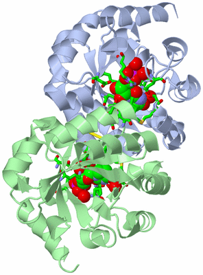 Image Biol. Unit 1 - sites