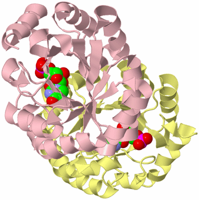 Image Biological Unit 2