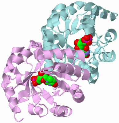 Image Biological Unit 3