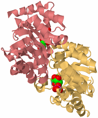 Image Biological Unit 4