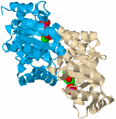 Image Biological Unit 5