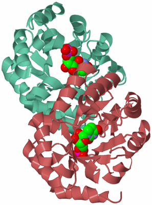 Image Biological Unit 6