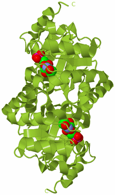 Image Biological Unit 7