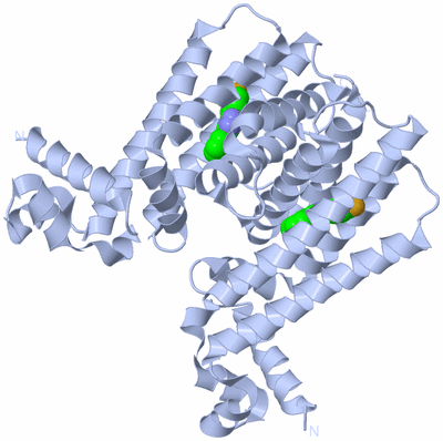 Image Biological Unit 1