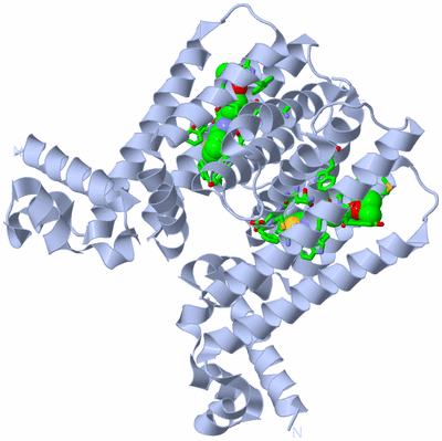 Image Biol. Unit 1 - sites