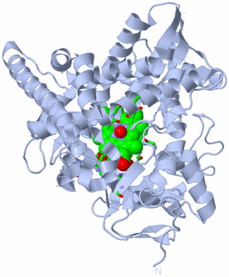 Image Biol. Unit 1 - sites