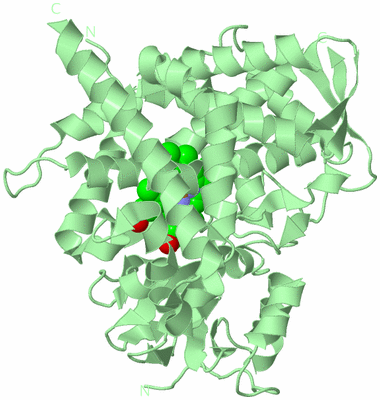 Image Biological Unit 2