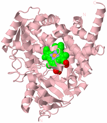 Image Biological Unit 3