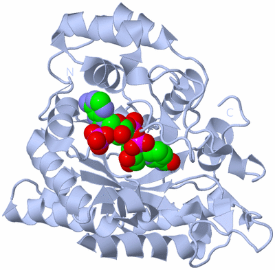 Image Biological Unit 1