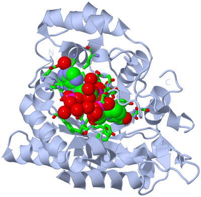 Image Biol. Unit 1 - sites