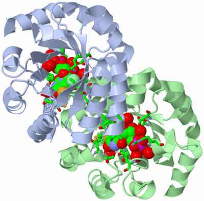 Image Asym./Biol. Unit - sites