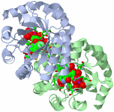 Image Asym./Biol. Unit - sites