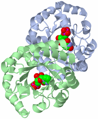 Image Asym./Biol. Unit