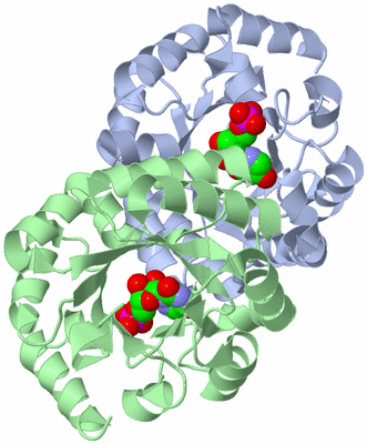 Image Asym./Biol. Unit