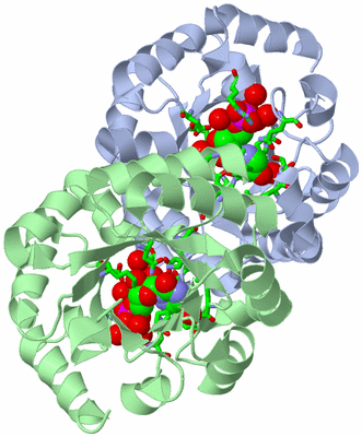 Image Asym./Biol. Unit - sites