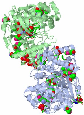 Image Biol. Unit 1 - sites