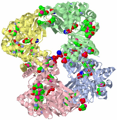 Image Biological Unit 2