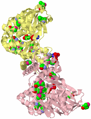 Image Biological Unit 3