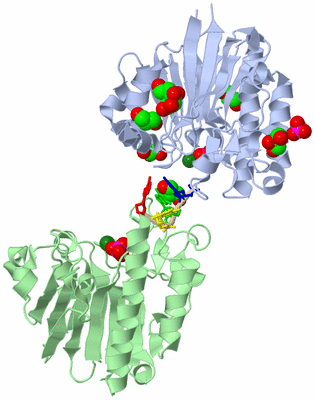 Image Asym./Biol. Unit