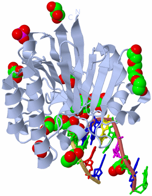 Image Biological Unit 1