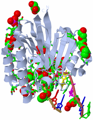 Image Biol. Unit 1 - sites