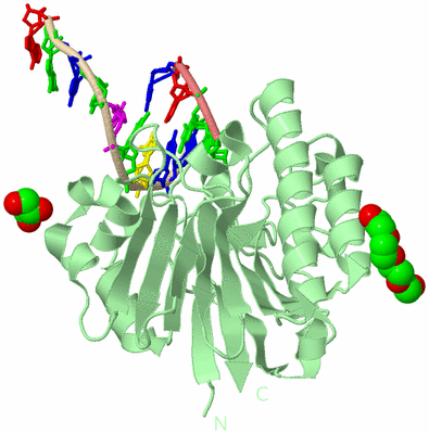 Image Biological Unit 2