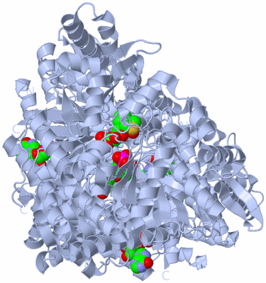 Image Biological Unit 2