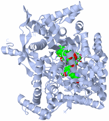 Image Biol. Unit 1 - sites