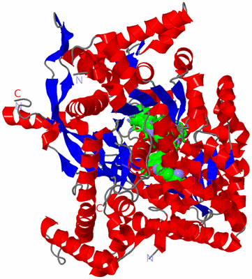 Image Asym. Unit - sites