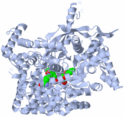 Image Biological Unit 1