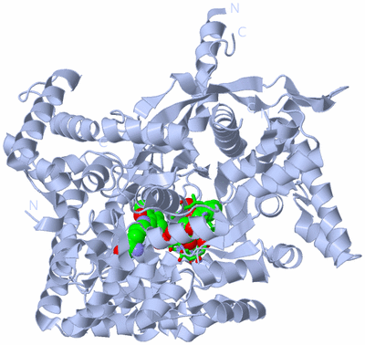 Image Biol. Unit 1 - sites